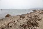 240705a_Danskeneset_33_E