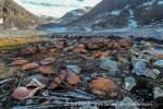240705c_Virgohamna_33_E