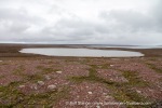240706a_Sordalsbukta_009_E