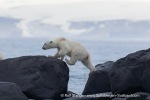 240710a_Gyldenoyane_162_E