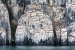 240710b_Alkefjellet_023_E