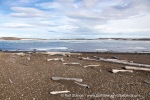 240711a_Von-Otteroya_030_E