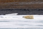240711a_Von-Otteroya_114_E