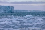 240711b_Braasvellbreen_79_E