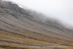 240712e_Isbjornodden_063_E