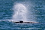 240713a_Storfjord_24_E