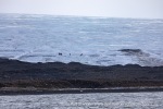 240713b_Isbukta_15_E