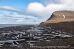 240713b_Isbukta_24_E
