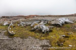 240714_Gaashamna_36_E