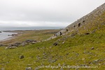 240716c_Ingeborgfjellet_02_E
