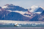 240702c_Ny-Alesund_012_E