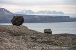 240703b_Blomstrand_60_E
