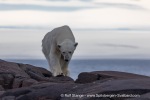 240710a_Gyldenoyane_078_E