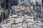 240710b_Alkefjellet_019_E