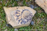 240712b_Buedelfjellet_082_E
