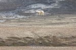240712d_Skarpryttaren_04_E