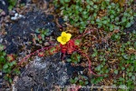240712e_Isbjornodden_054_E