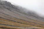 240712e_Isbjornodden_063_E