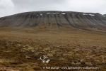 240712e_Isbjornodden_078_E