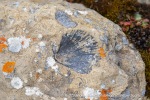 240716b_Sundhogda_02_E