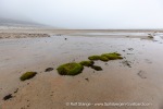220811b_Phippsoya_24_E