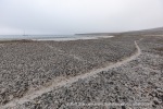 220811b_Phippsoya_29_E