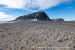 240709a_Phippsoya_075_E