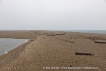 240807c_Sarstangen_11_E
