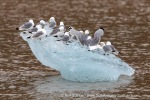 240808b_Ossian-Sarsfjellet_22_E