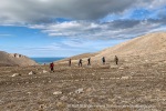 240809_Blomstrandhalvoya_24_E