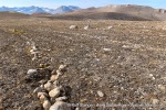 240809_Blomstrandhalvoya_26_E