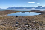 240809_Blomstrandhalvoya_48_E