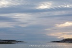 240809_Hamburgbukta_30_E