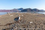 240811c_Store-Russebustraumen_001_E