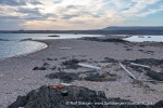240812b_Mosselbukta_085_E