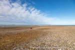 240813a_Tombolooya_030_E