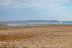 240813a_Tombolooya_033_E