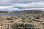 240814b_Franklindalen_090_E