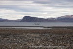 240814b_Franklindalen_173_E
