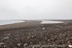240816a_Scoresbyoya_001_E