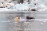 240818c_Freemanbreen_043_E
