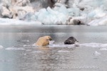 240818c_Freemanbreen_045_E