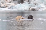 240818c_Freemanbreen_046_E