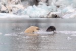 240818c_Freemanbreen_047_E