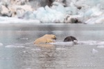 240818c_Freemanbreen_048_E