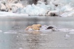 240818c_Freemanbreen_049_E