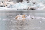 240818c_Freemanbreen_050_E