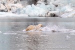 240818c_Freemanbreen_051_E