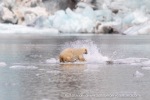 240818c_Freemanbreen_052_E