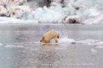 240818c_Freemanbreen_053_E